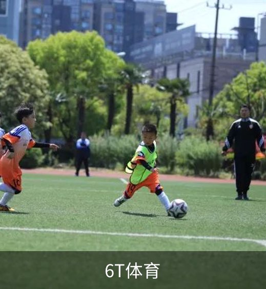 6T体育简介